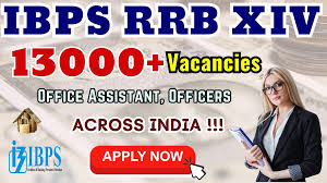 IBPS recruitment 2025: Vacancies open for 13, 217 posts, apply by Sep 21