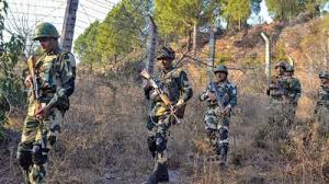BSF troops capture a Pakistani national in Punjab on Indian soil.