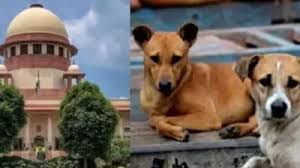 SC order on stray dogs: Only 2% of human–street dog encounters show aggression: Report