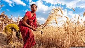 Odisha problems  Indias first policy acknowledging the significance of women farmers in agriculture was the 