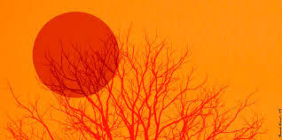 Extreme Weather Events Are Increasing Deaths and Devastation: Sobering Data in Indias Climate Report 2024