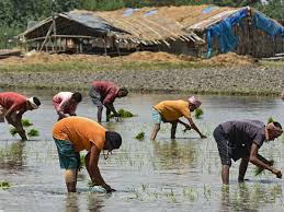 The war in Iran poses a threat to Asias food security in addition to energy