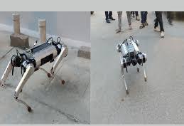 The Powerful Indian Robodog, Param, was created by a Bengaluru startup.