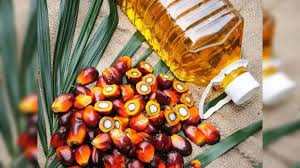Due to poor demand, Indias palm oil imports hit a one-year low in April