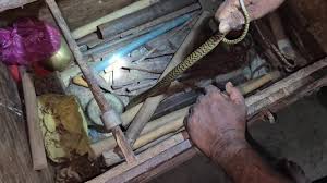 A snake was recovered from an old trunk on the outskirts of Bhubaneswar, and a 300-year-old wooden chest reveals a hidden visitor.