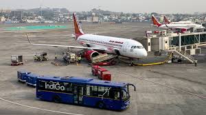 Four travelers were detained at the Mumbai airport with drones, exotic animals, and hydroponic marijuana.