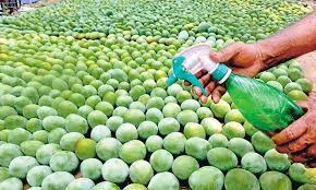 FSSAI asks States to curb use of illegal ripening agents, synthetic coatings on fruits