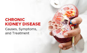 Chronic kidney disease: the CKD registry task force is composed of Odisha