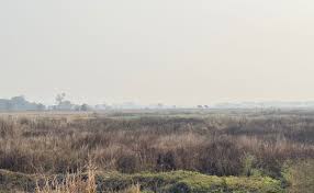 Bengal polls: Tatas departure is still being shaped Singur, eighteen years later