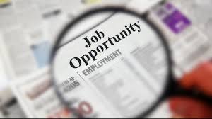 Recruitment for the Mamata Scheme: The Odisha government is accepting applications for DPC positions in three districts.