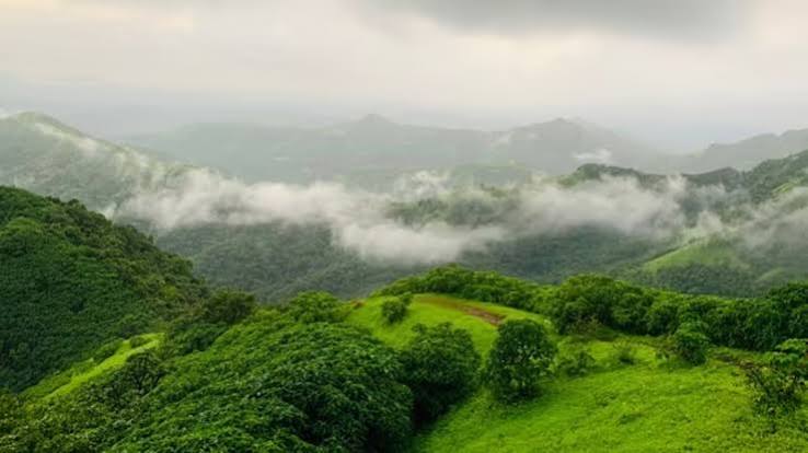 Three States Western Ghats Will Be Designated as Eco-Sensitive Areas: Sources