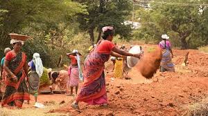 The government will replace MGNREGA with the new rural jobs plan G RAM G, which promises 125 days of employment at a budget of around Rs 96,000 crore.