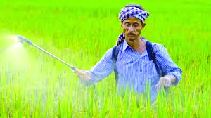 ICAR chief: India has to use AI and precision technology to reduce its reliance on fertiliser imports.