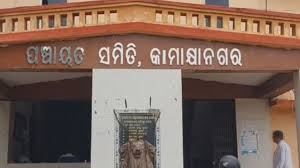 Suspected ‘bird flu’ scare grips Dhenkanal after several crows found dead