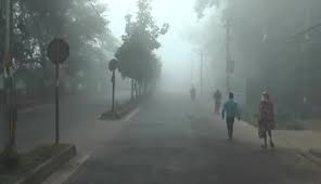 Odisha cold wave: Bhubaneswars temperature drops by 9.6 degrees Celsius over ten days, with no relief till the weekend, according to the IMD