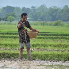 El Niño impact: 111 districts are deemed 