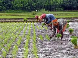 Amid rising inflation, the government announces a package of relief for farmers.