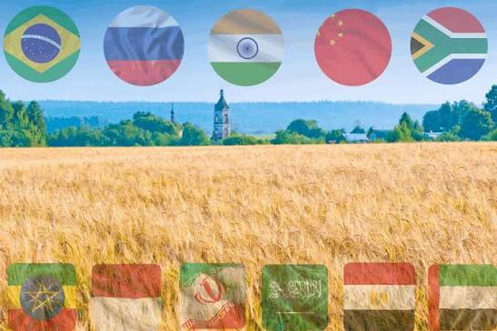 BRICS considers Russias offer to exchange grains; a digital platform for the trade of agricultural products is proposed