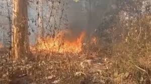 Odisha uses drones and artificial intelligence (AI) to fight forest fires; more than 25,000 fire points have been identified.